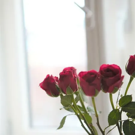 Here Liisa Apartman